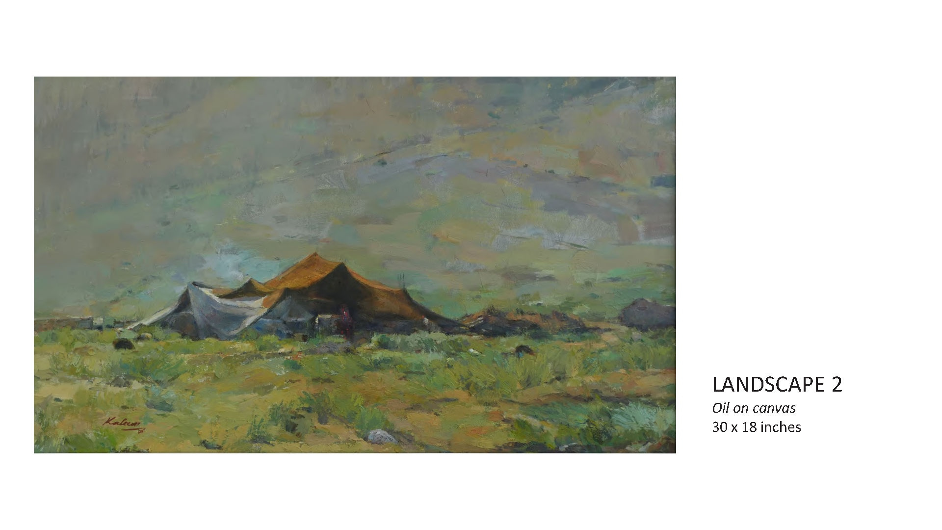 Landscape 2 by Kaleem Khan